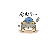 838116991