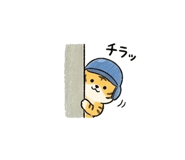 838116992