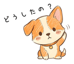 838117706