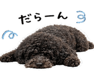 838120757