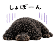838120771