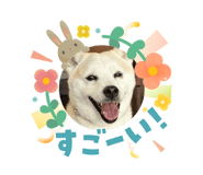 838120914