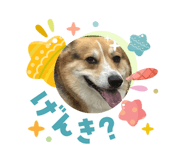 838120917