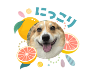 838120919