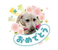 838120920