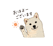 838124065