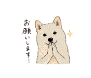 838124066