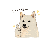 838124067
