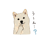 838124072