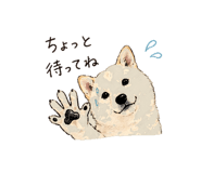 838124075