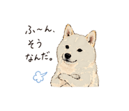838124077