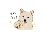 838124080