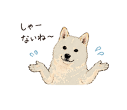 838124082