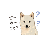 838124084