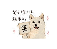 838124086