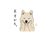 838124087