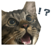 838125873