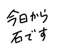 838129034