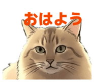 838130041