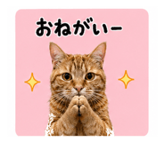 838133846