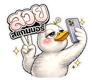 838134034