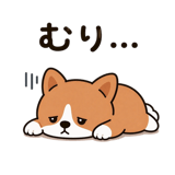 838136590