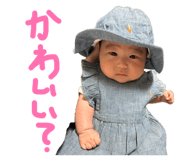 838141532