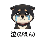 838144455