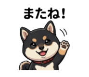 838144467