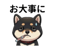 838144475