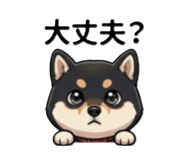 838144476