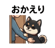 838144708