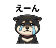 838144720