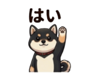 838144742
