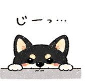 838145977