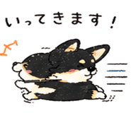 838145978