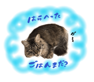 838147840