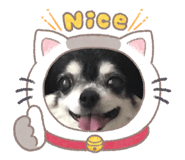 838147916