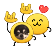 838147924