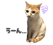 838148562