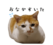 838148564