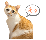 838148566