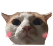 838148570