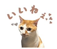 838148573