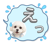 838148590