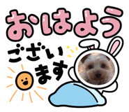 838148593