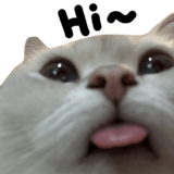 838151249