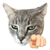 838151250