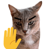 838151252