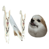 838151256
